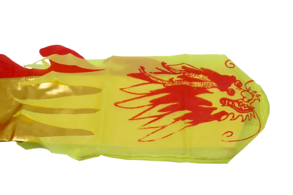 DSC02934.png