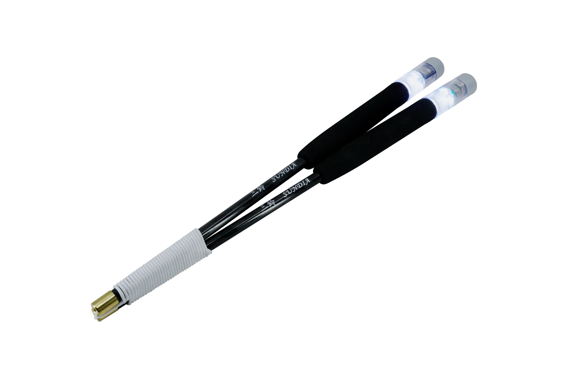 LED Sticks carbon black white led_edited.png