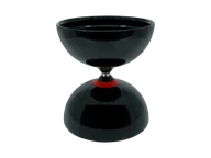 Shining Black Bearing
