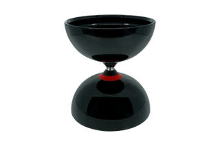Shining Black Bearing