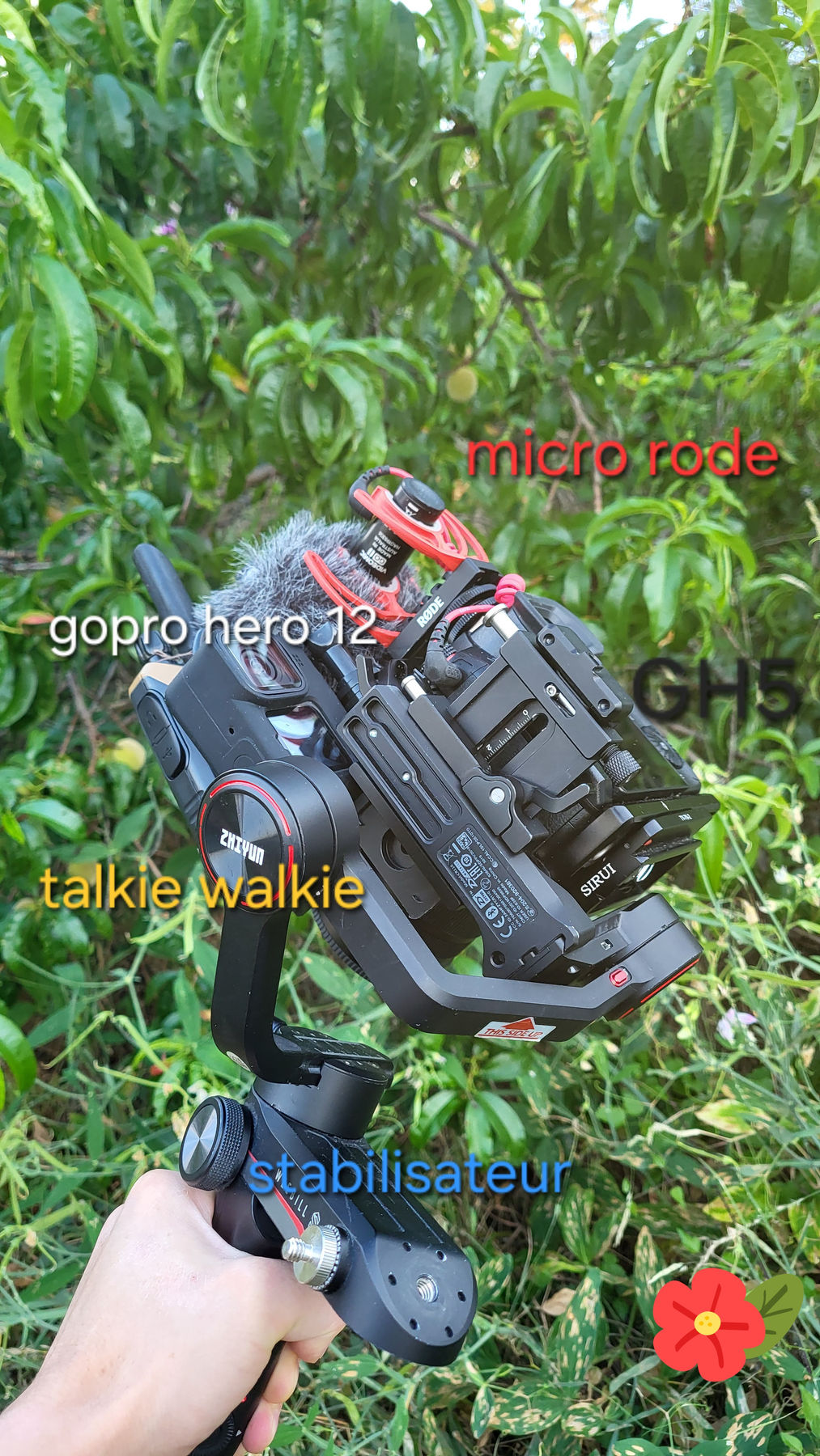 4183fd_4b3bd96c75c04638bea341674712365d~mv2.jpg